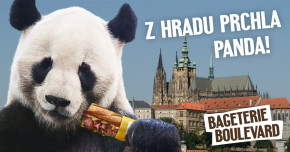 Z Hradu prchla panda!