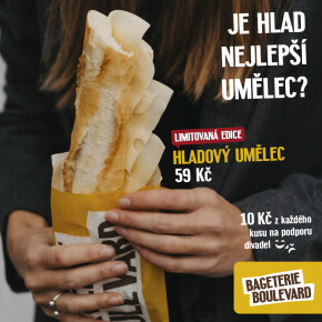 Hladový umělec